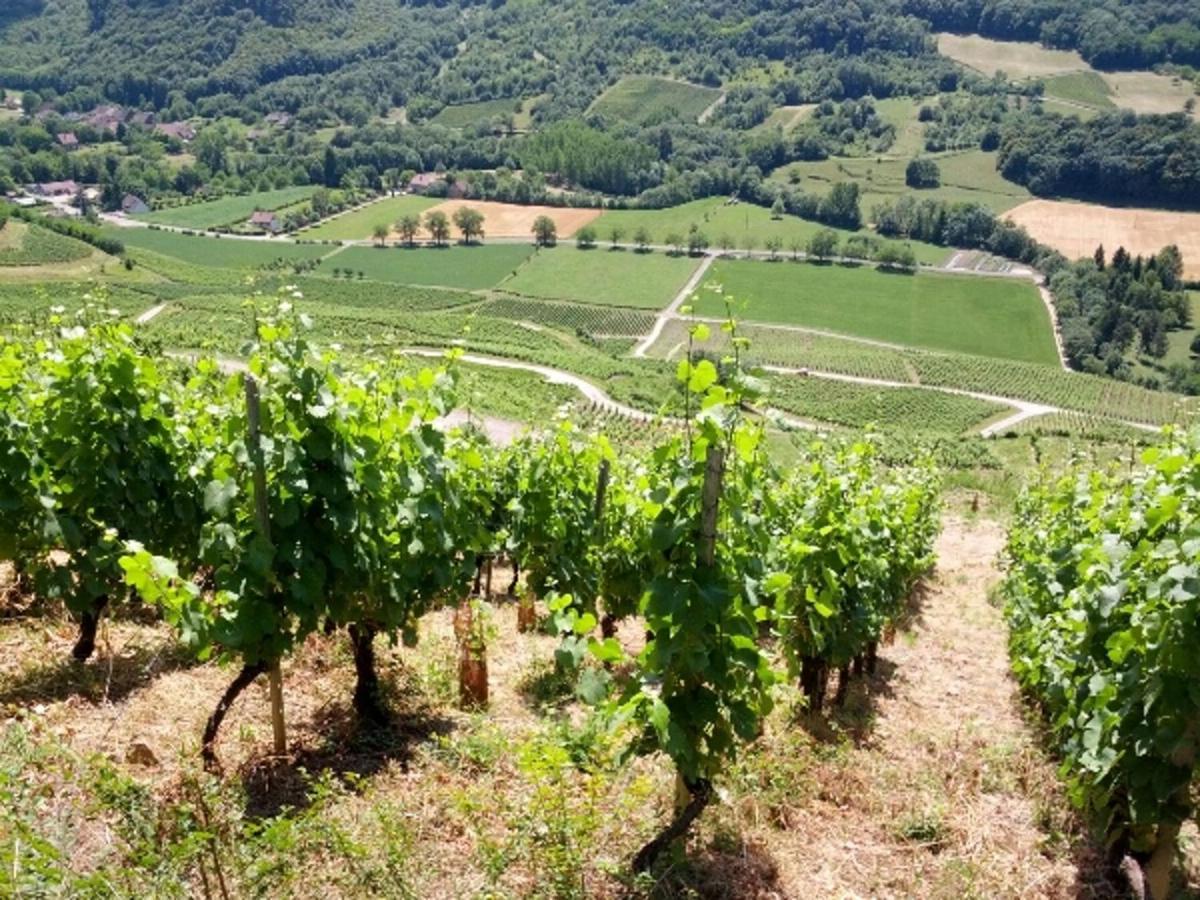 Au Bord De Seille Villa Nevy-Sur-Seille Kültér fotó